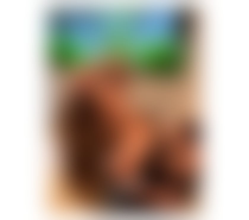 Escorts Gwynedd Caernarfon - Gwynedd - Photos for Oliviana✅ Sweet girl 100% Just arrived in you're Town ✅