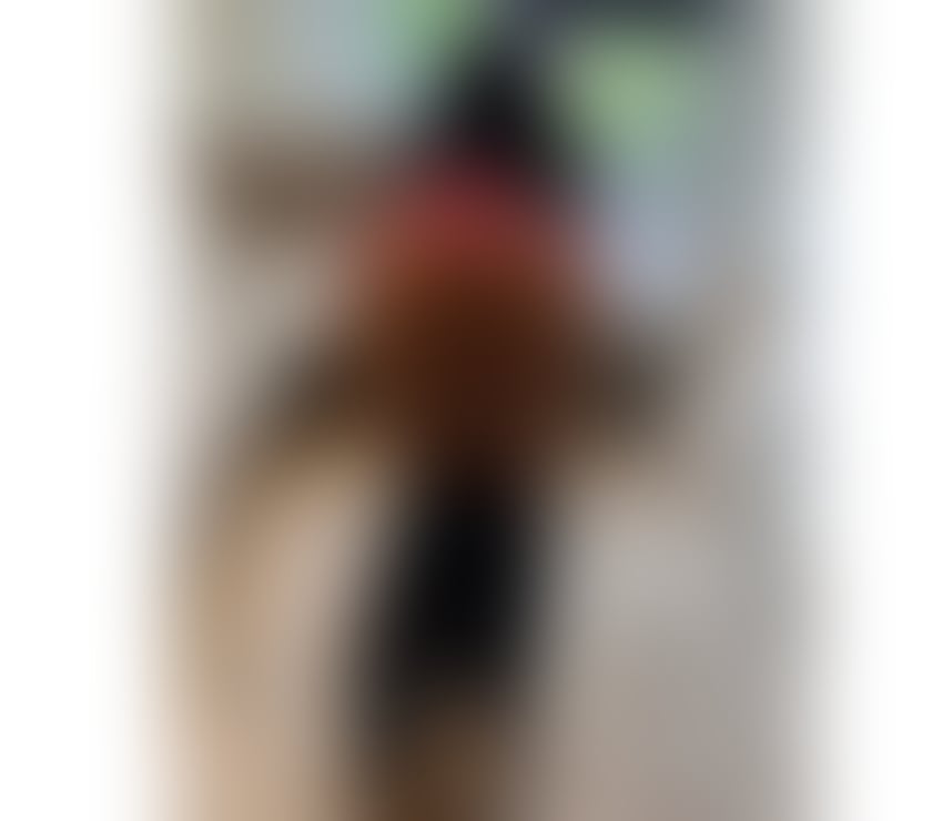Escorts South West London Richmond upon Thames - Photos for DIANA PARTYGIRL NEW IN TOWN