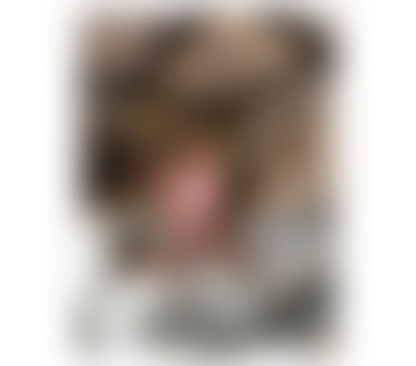 Escorts North London Wood Green - North London - Photos for NEW HOT π§π· BRAZIL FULL GFE π¦ππ₯π¦ππ₯
