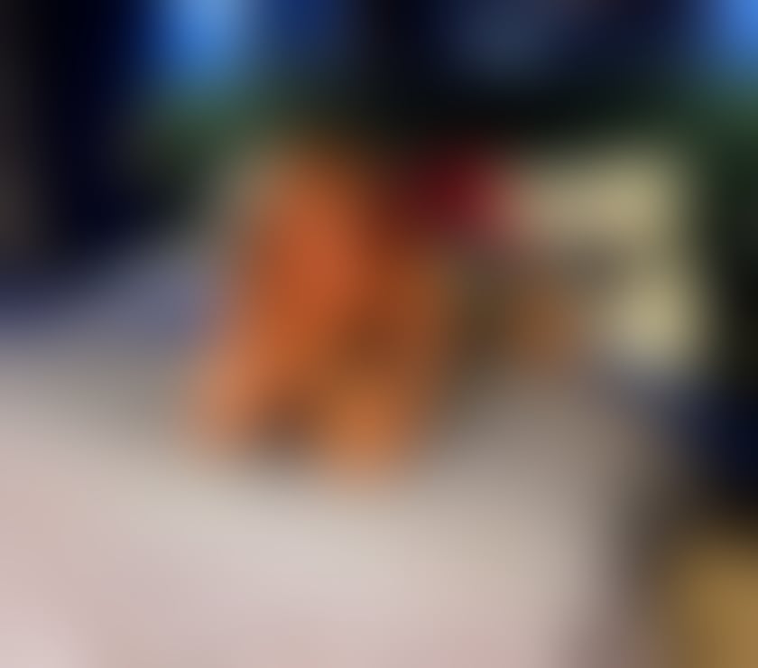 Trans Escorts Nottinghamshire Nottingham - Photos for Lady Lavina - Trans Ballerina Goddess