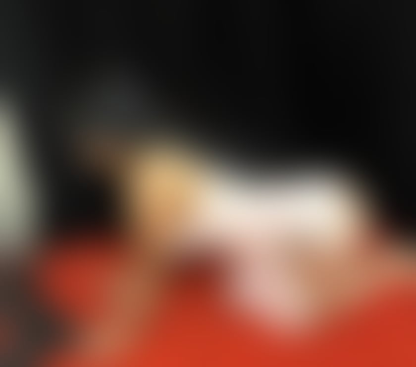Escorts West Midlands Sandwell - Photos for 🤩Julia New Girl best service 🥵