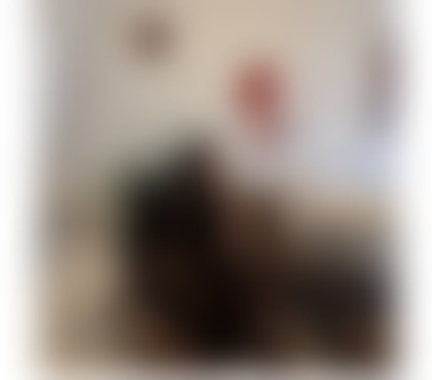 Escorts Leicestershire Leicester - Photos for Outcall Only📞best services