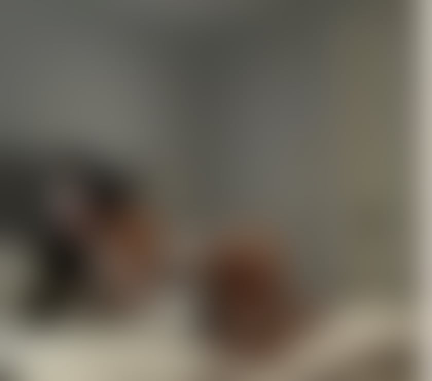 Escorts Harlow Town Centre Harlow - Photos for Kim new in town