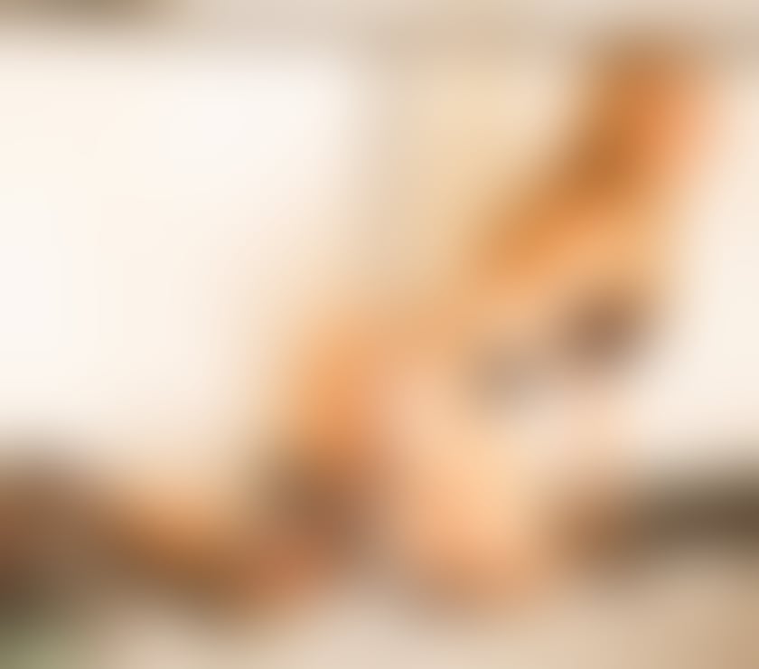Trans Escorts Hampshire Portsmouth - Photos for Hot Ts In Portsmouth