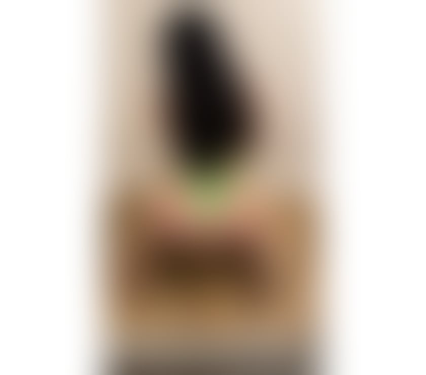 Escorts East London Forest Gate - East London - Photos for AMIRA🔥PARTY🔥GIRL🔥