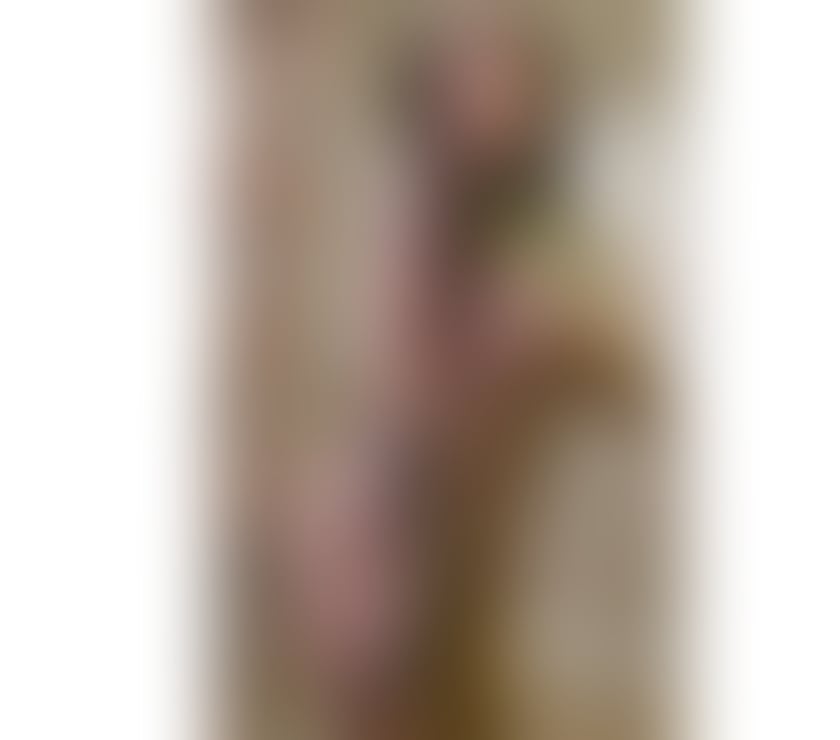 Escorts Swansea City Centre Swansea - Wales - Photos for Party 🥳 girl available!!