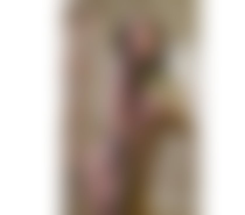 Escorts Gloucestershire Cheltenham - Photos for Party 🥳 girl available!!!