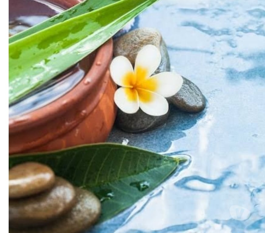 Escorts Belfast Belfast City Centre (South) - Belfast - Photos for Swedish and Sensual Massage