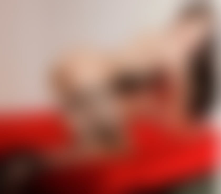 Escorts South Yorkshire Doncaster - Photos for ❤️🔥zoey sexy thai ladyboy ✅ Now I'm in Doncaster