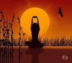 Sunny Thai Massage