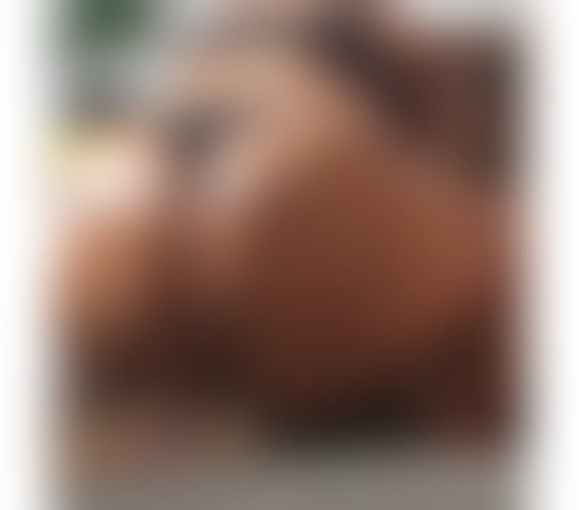 Escorts South Yorkshire Sheffield - Photos for Curvy Maya African Bbw