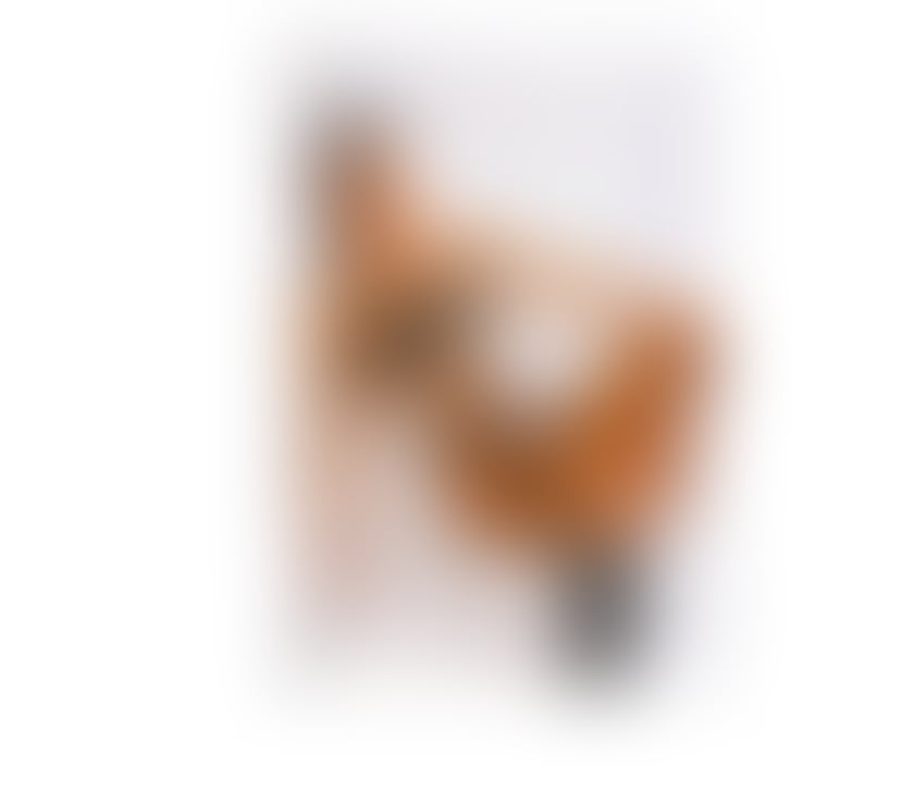 Trans Escorts North West London Cricklewood - North West London - Photos for Ts Perola Brazilian Party