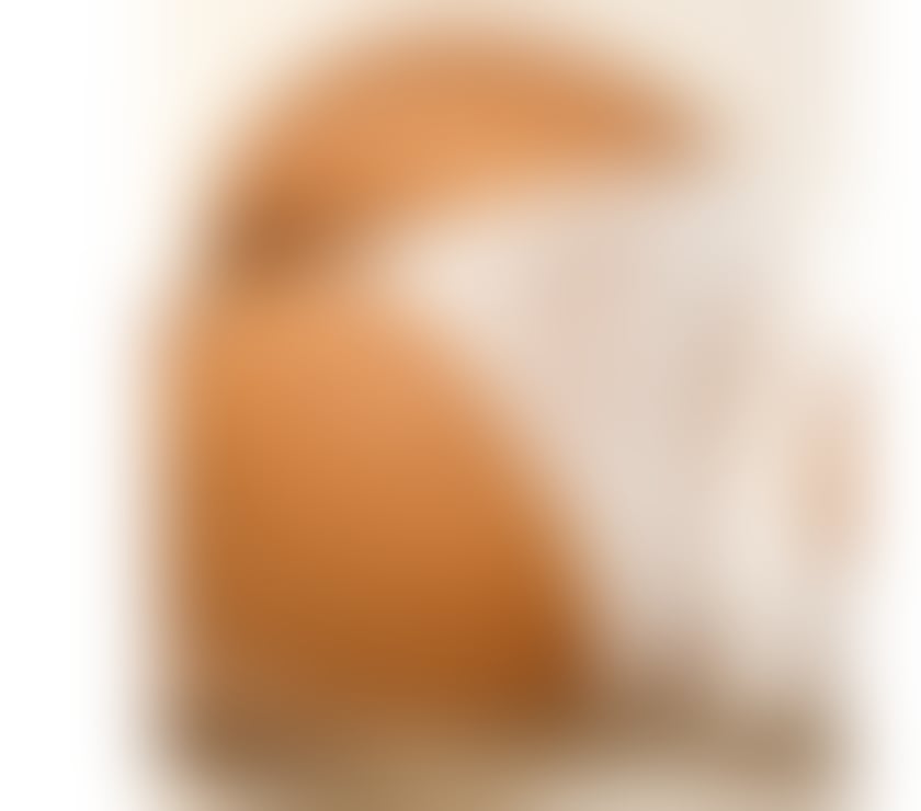 Trans Escorts North West London Cricklewood - North West London - Photos for Ts Perola Brazilian Party