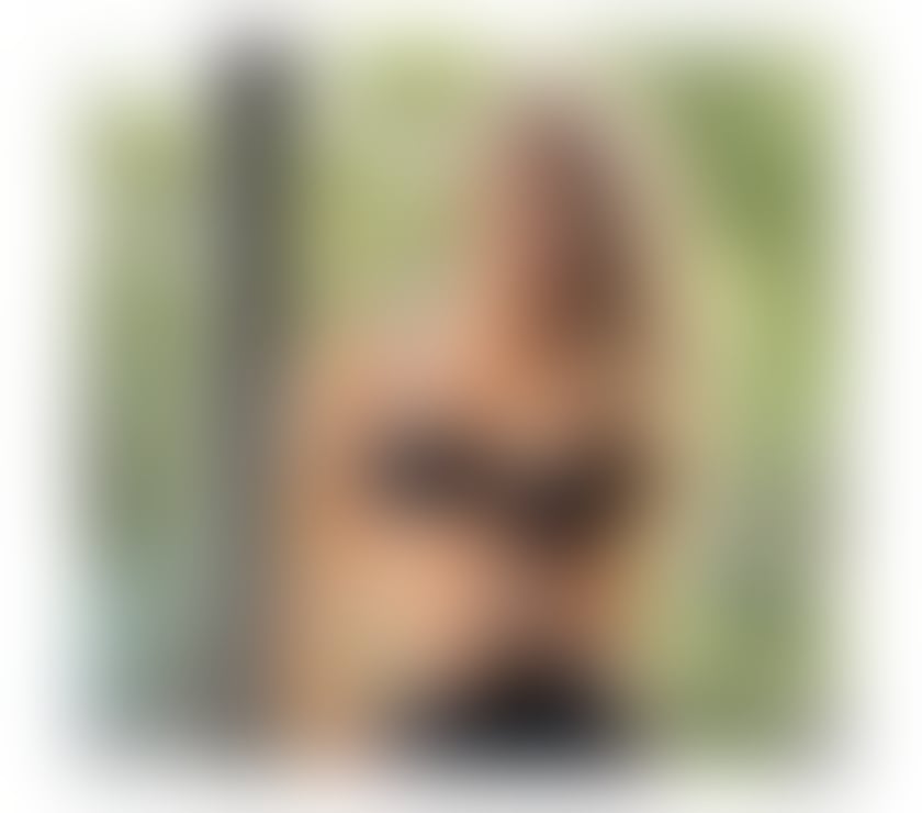 Escorts Somerset Burnham-on-Sea - Somerset - Photos for 💫NICOLLE💫 PRETTY ASS🍑BEST SERVICES💋KISSES