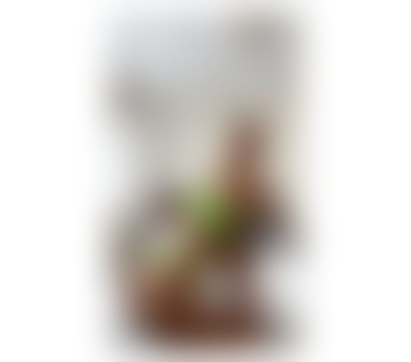 Escorts Hampshire Rushmoor - Photos for new Hot Girl on Tour here in your Town !