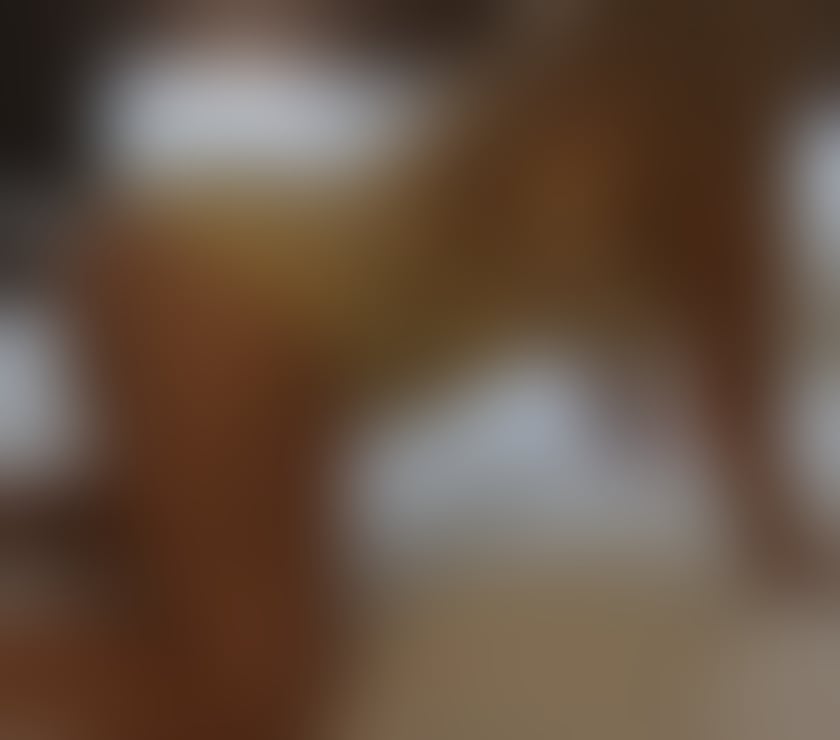 Escorts Tyne and Wear Newcastle upon Tyne - Photos for Hi my name is Alexia