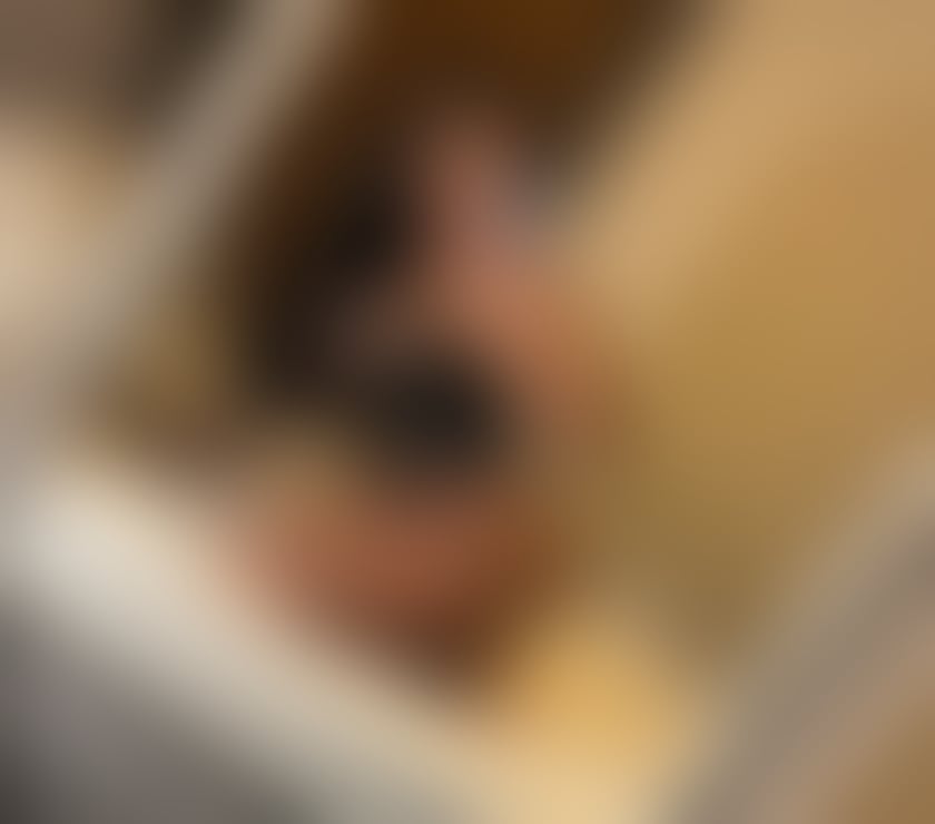 Photos for Brazilian slut 🔥🇧🇷