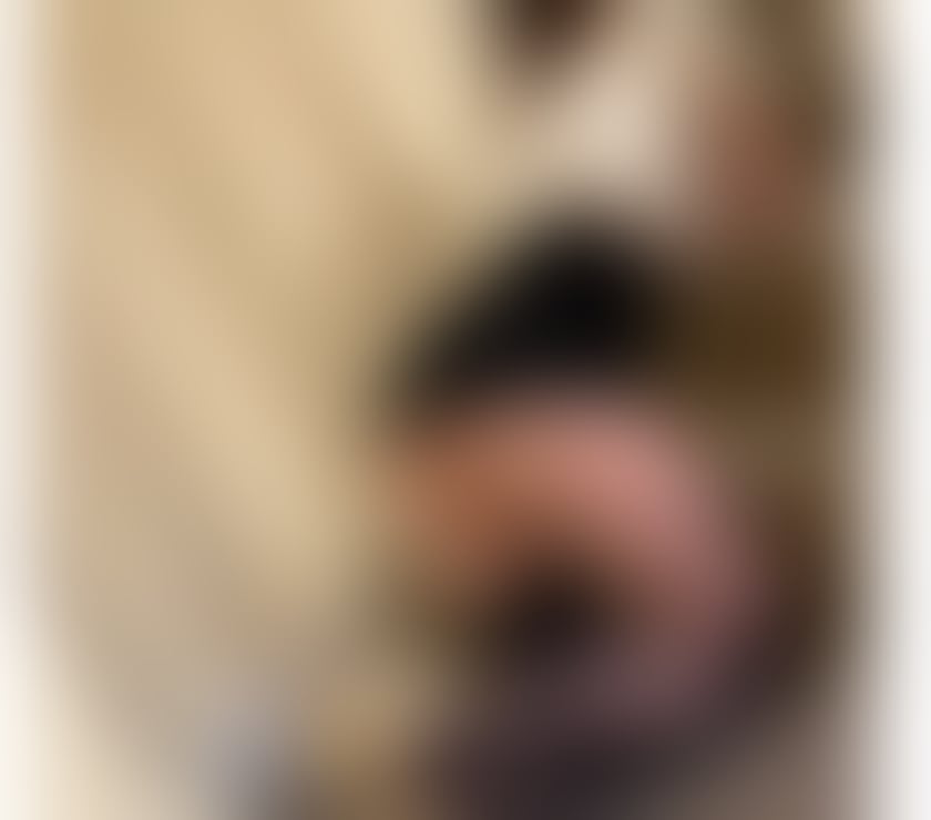 Escorts Surrey Surrey Heath - Photos for ❤️💋No rush 💋❤️Best services ❤️