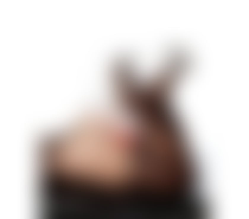 Trans Escorts North West London Harrow - Photos for Tereza party girl, top and bottom