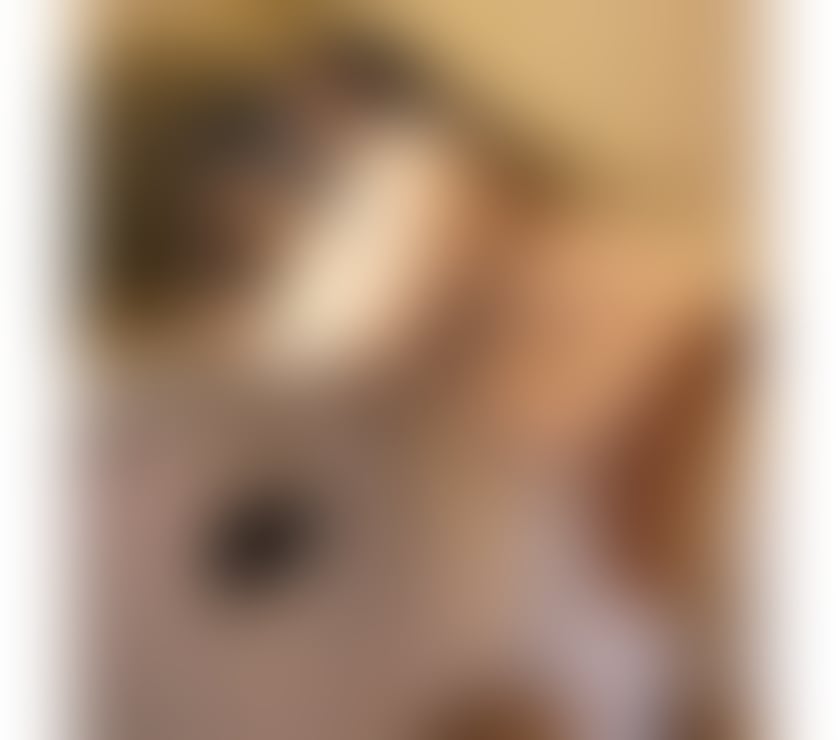 Trans Escorts Falkirk Falkirk Town Centre - Falkirk - Photos for TS Stella New in Town
