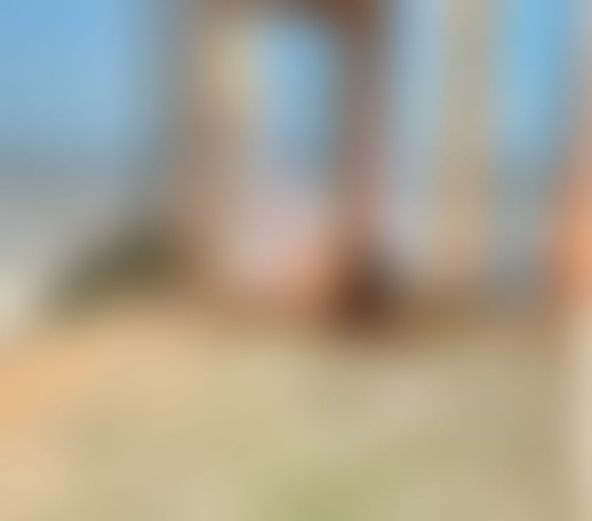 professional companionship or massage