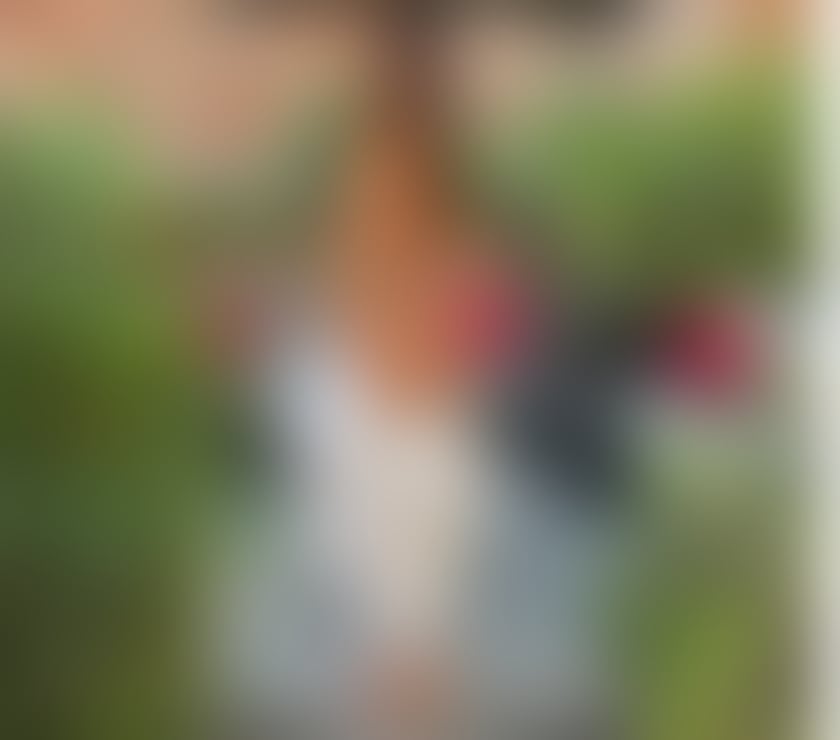 Escorts Glasgow Glasgow City Centre - Glasgow - Photos for Party girl⭐️ 24 h active ⭐️ Real pictures ⭐️