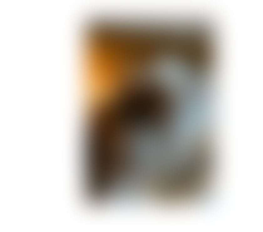 Escorts Fife Dunfermline - Fife - Photos for Hi, I'm Camila, the party girl. 🥳🍾