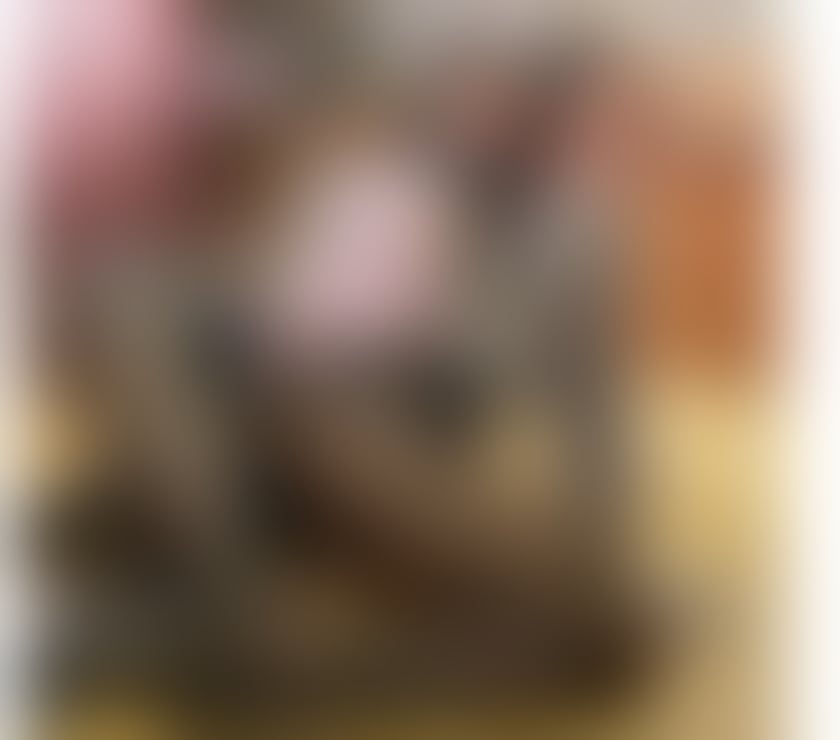  Escorts Bournemouth Bournemouth, Christchurch and Poole - Photos for Maya and Naty party girls