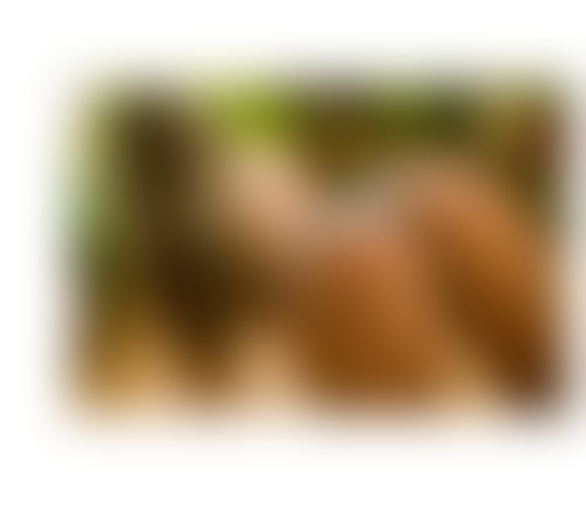 Bella 🔥gfe best service 💥 party girl🇧🇷