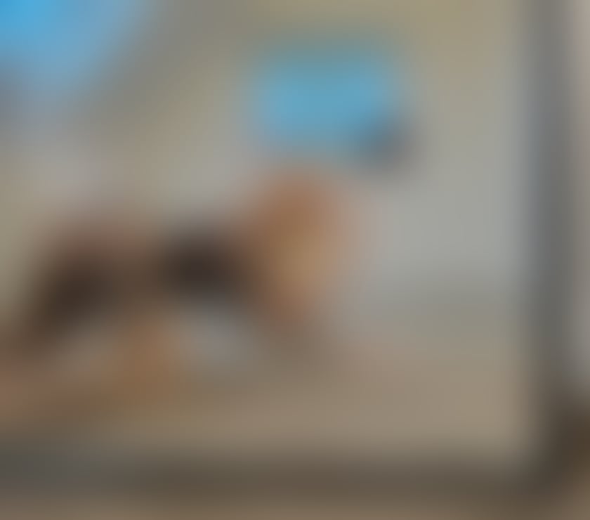 Escorts Coatbridge North Lanarkshire - Photos for Ready all time call me