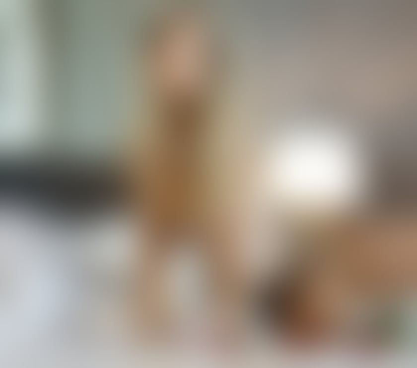 Escorts Hertfordshire St. Albans - Photos for 🍑 CALLISTA 🍾 NEW GIRL IN Town 🍾 CHEAP PRICE