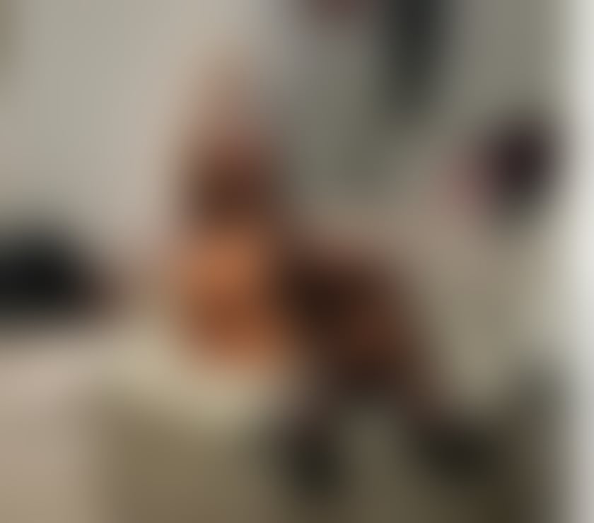  Escorts & Erotic Massage Bow Road Station East London - Photos for ✨Yasmina new in you town✨