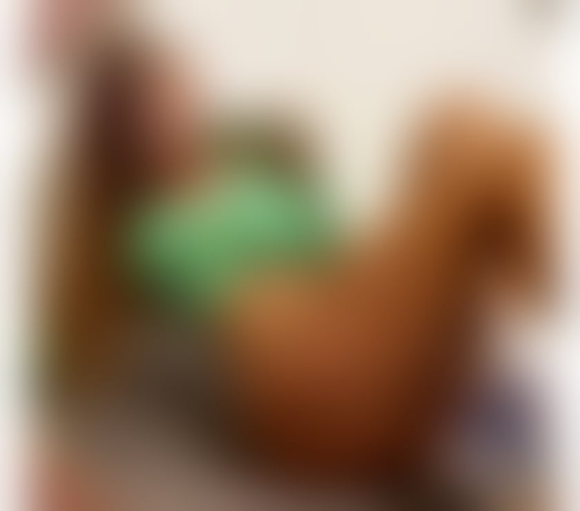 Escorts North Yorkshire Middlesbrough - Photos for 👑 M`BRO CENTER – The Queen of Wild Temptation ⚡