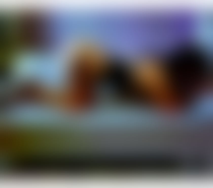 Escorts Easton Bristol - Photos for Hello guys ❤️Party🥂Girl💋Anely🥰NEW IN TOWN😍