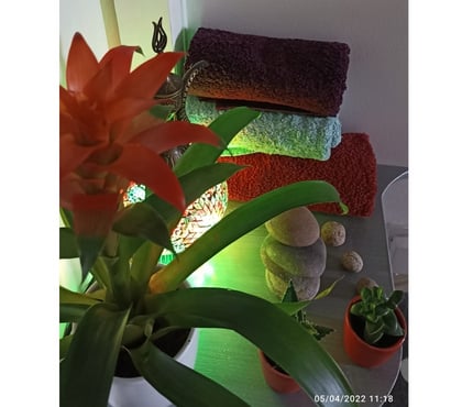 Professional massage Walthamstow East London - Photos for Male Masseur 4 couple and single