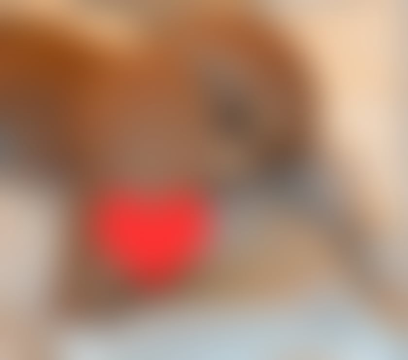 Escorts Merseyside Sefton - Photos for ♥️💋New girl best service♥️💋