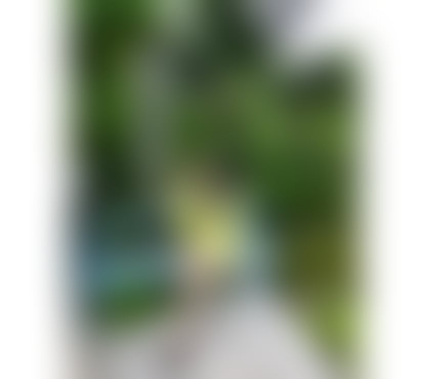 Escorts & Erotic Massage Basingstoke Basingstoke and Deane - Photos for NEW in Town, Asian Candy