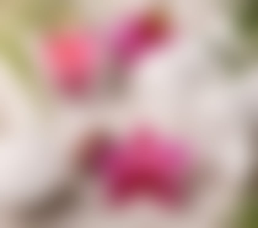 Massage Shirebrook Bolsover - Photos for Oriental relaxing massage