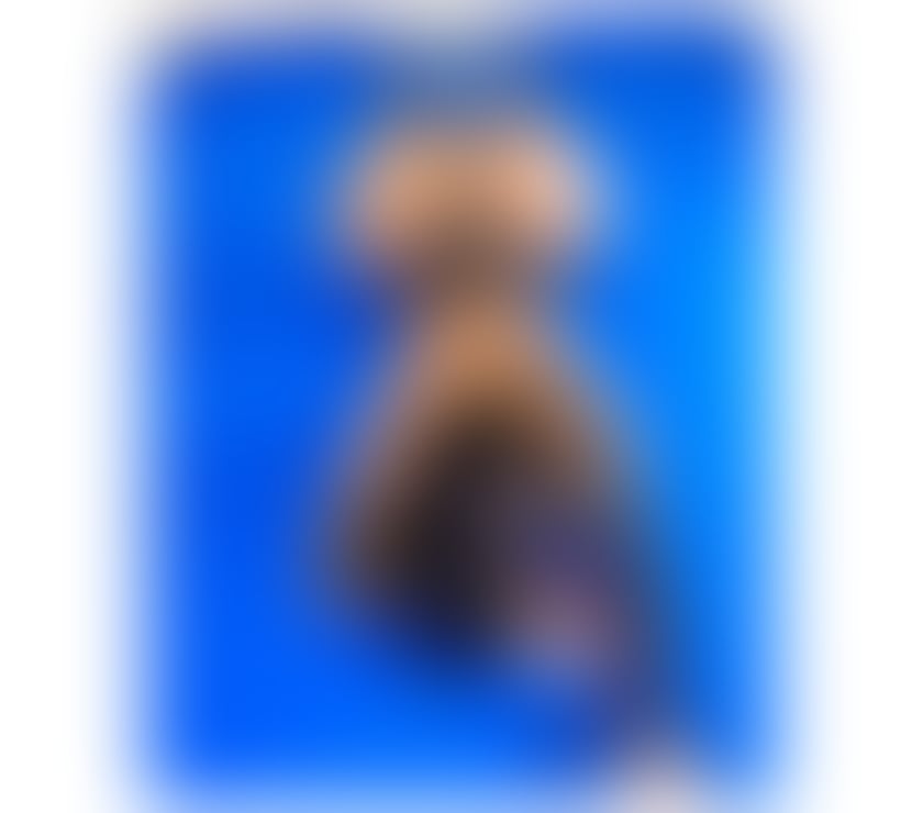  Escorts Stevenage Town Centre Stevenage - Photos for Hi baby I’m now ❤️😘