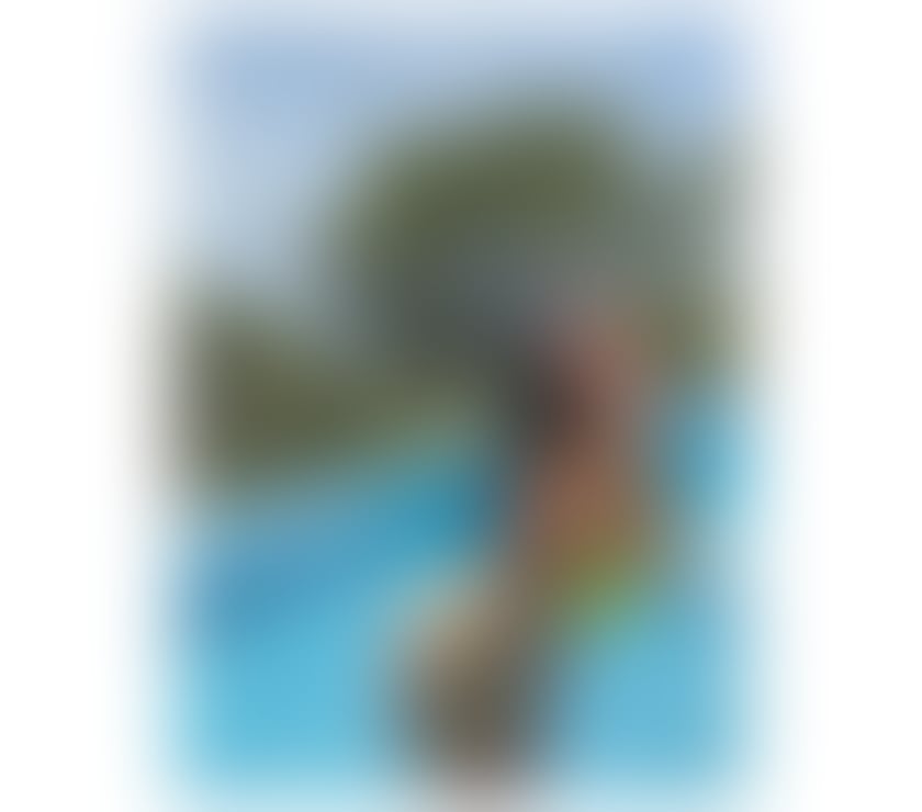 ONLY OUTCALL 💚 PARTY GIRL 🥳GFE🥰