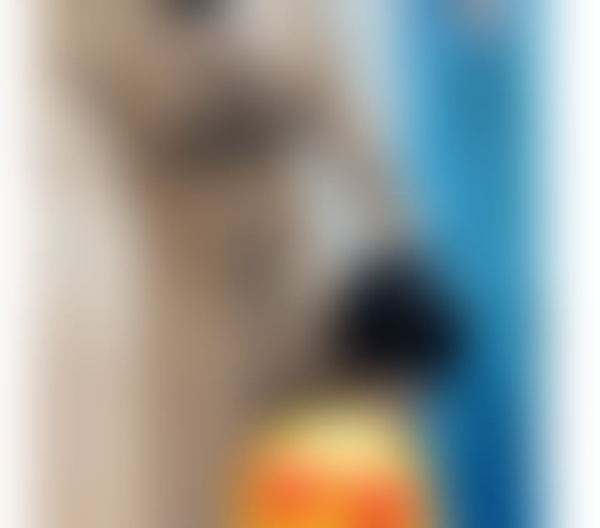 Escorts East London Upton Park - East London - Photos for Massage and Services Available am here to make you day