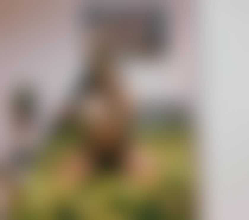 Escorts South Yorkshire Barnsley - Photos for Amalia🔥NEW 🔥Real 💯Pic💯🔥💋