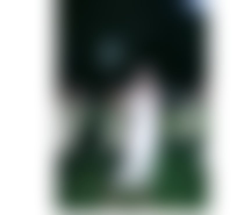 Escorts Essex Chelmsford - Photos for Jasmine Diamond thai ladyboy