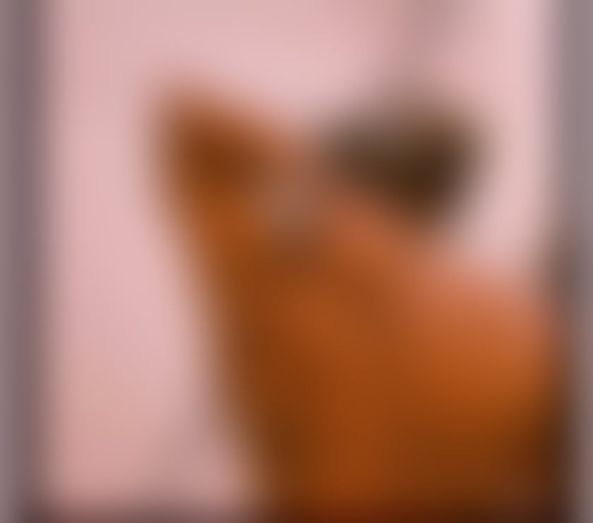 naughty dating Hereford County of Herefordshire - Photos for One call away from getting you hinged