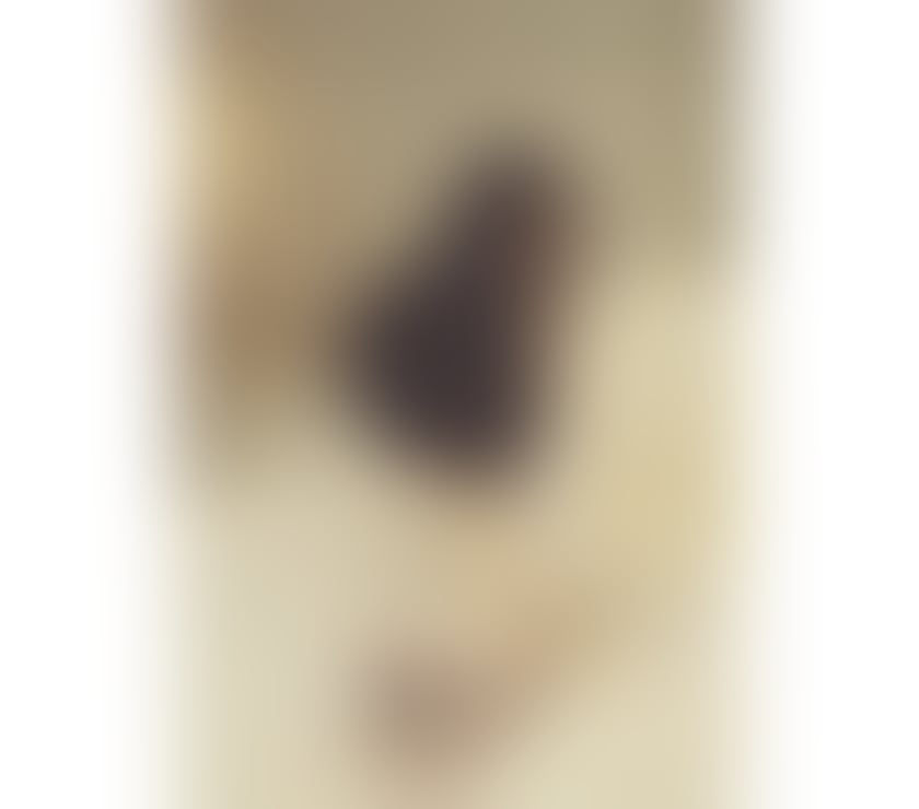 NEW - PETTS WOOD FIRST CLASS ASIAN ESCORT