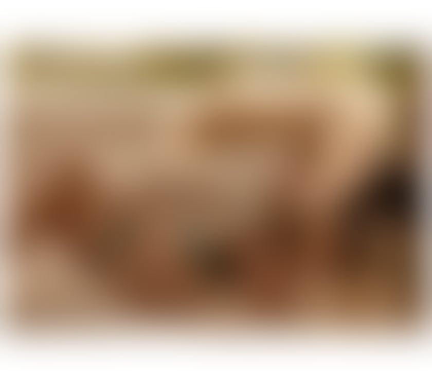 Escorts North West London Harrow - Photos for Bibi girl Brazilian 25 yaers New in city