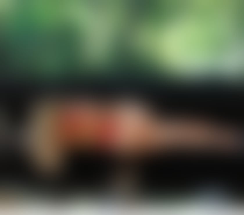 Escorts Cardiff Cardiff City Centre - Cardiff - Photos for Fernanda Kelly🎀 100% real🫦