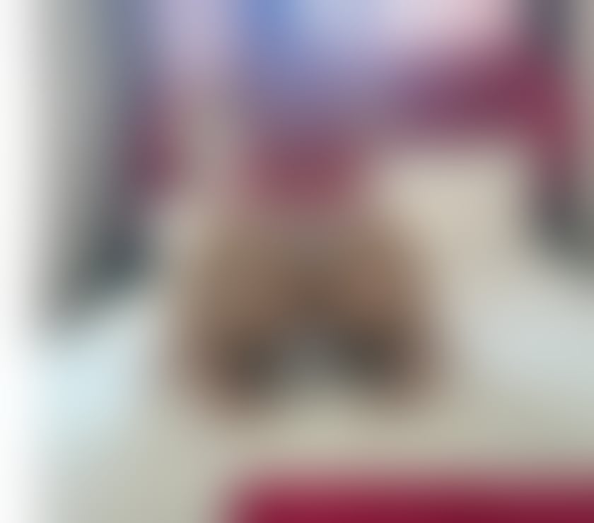 Escorts West Yorkshire Calderdale - Photos for Hello I’m Roxy new here