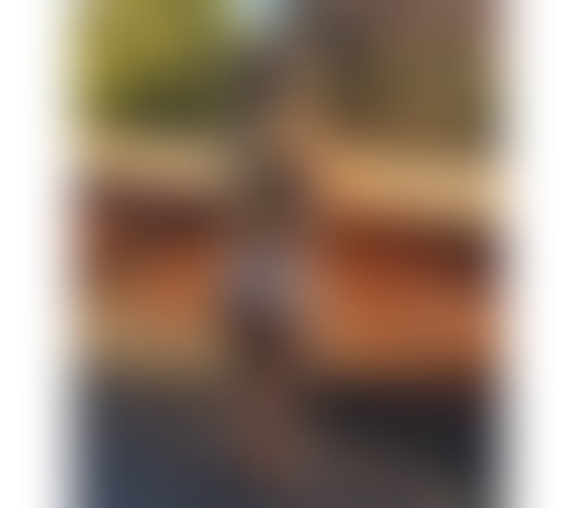 Escorts Suffolk Ipswich - Photos for Barbara (FULL SERVICE) 🇧🇷 party all day night 🌹