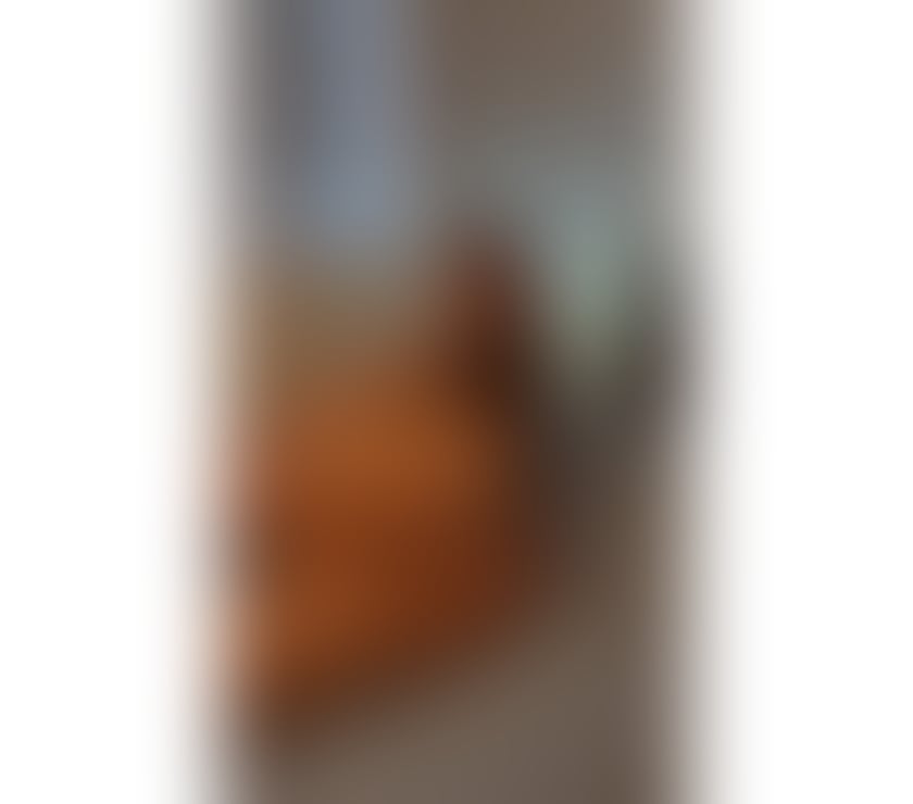 Escorts East London Redbridge - Photos for 💋🌹🌟 Zaria – Timeless Beauty🌟🌷💋